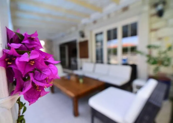 Hotel My Adress Butik 4*